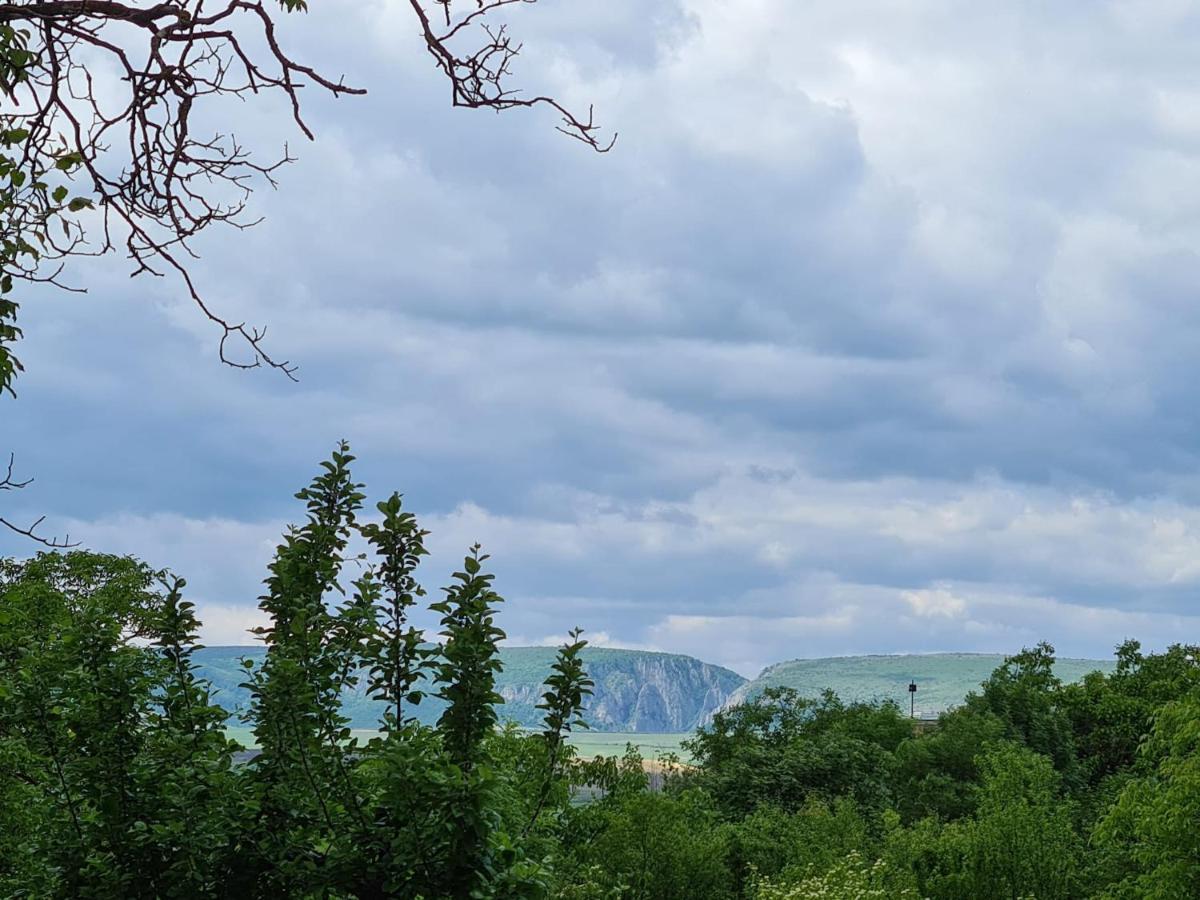 Bella Vista Bungalow Τούρντα Εξωτερικό φωτογραφία